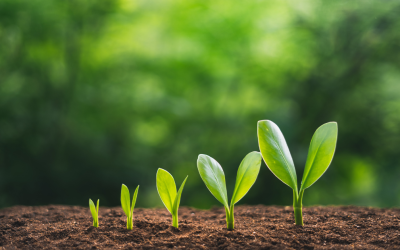 How to Prepare Your Small Business for Sustainable Growth